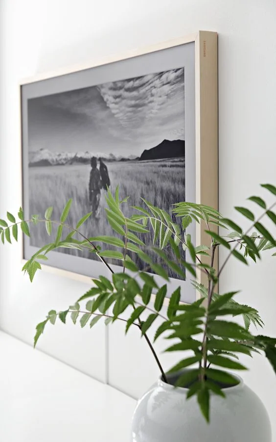 The frame LS03T