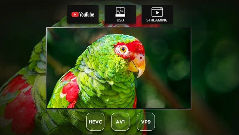 Video Decoder Buil-In Nano95