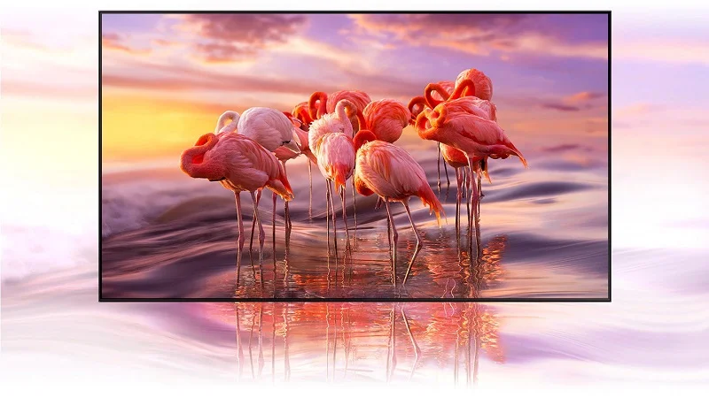 Q80A 2021 Q Color