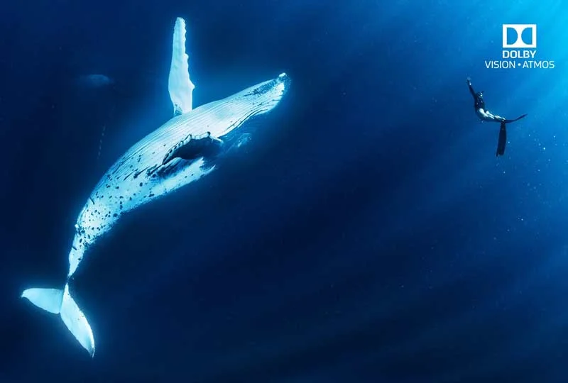دالبی اتمس Dolby Atmos  در تلویزیون 65 اینچ ال جی SM9000