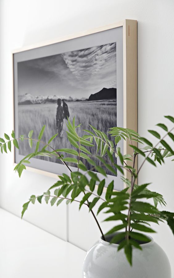 The frame LS03T